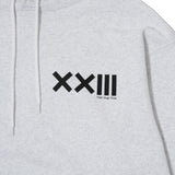 ICON LOGO SWEAT HOODIE STEAM