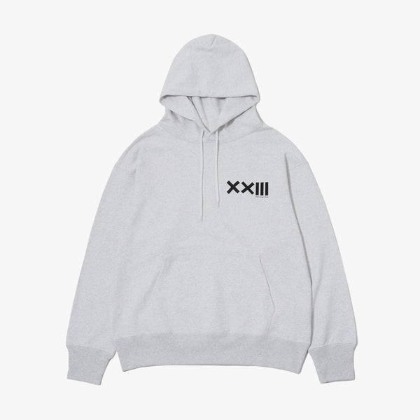 ICON LOGO SWEAT HOODIE STEAM