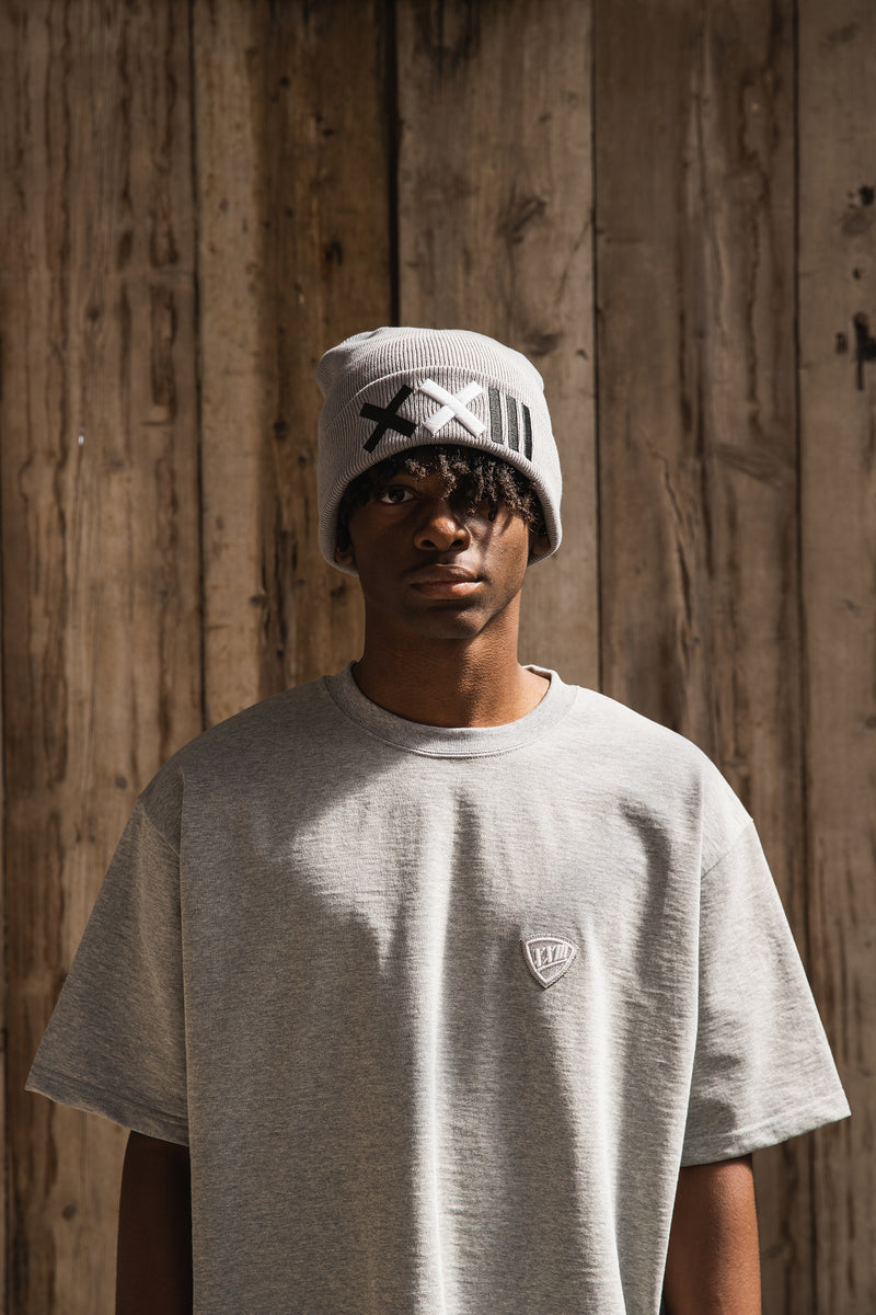 CLASSIC LOGO BEANIE GRAY