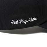 CVT LOGO DAD CAP