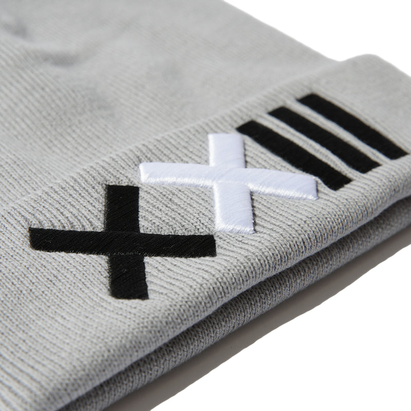 CLASSIC LOGO BEANIE GRAY